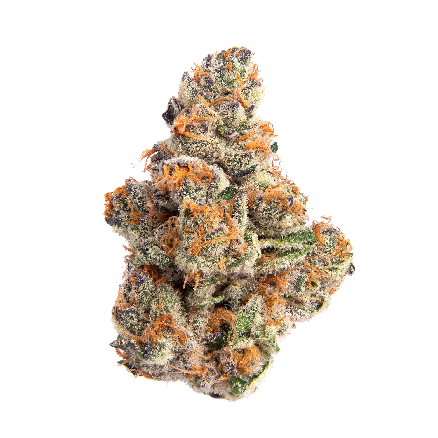 Baby J's: Gelato Runtz - 5 x 0.5g - Image 3