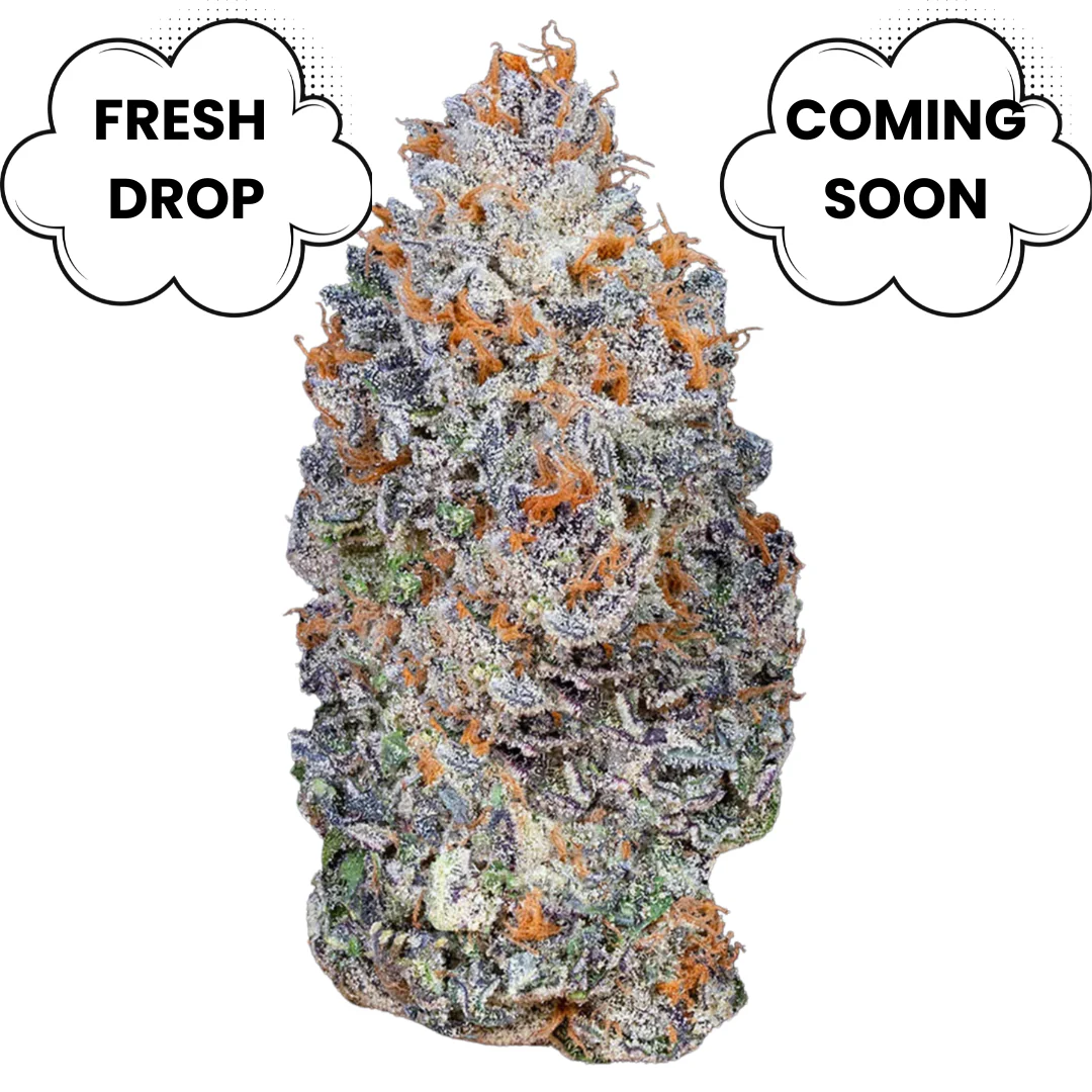 Ounce Bundle - Image 3