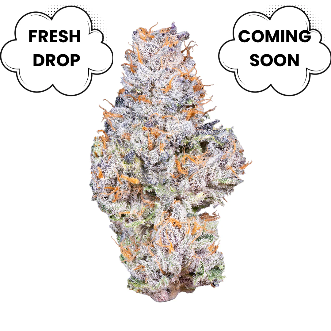 Ounce Bundle - Image 4