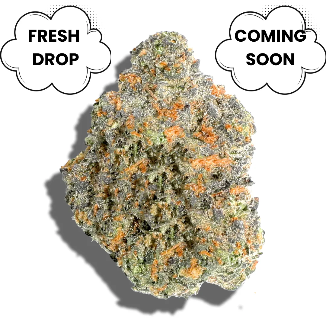 Ounce Bundle - Image 5